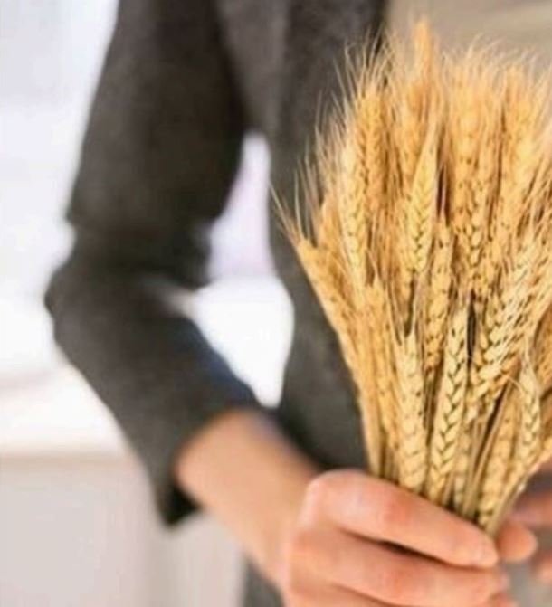 Biblioteca Municipal Joan Fontcuberta i Gel