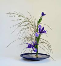 Ikebana