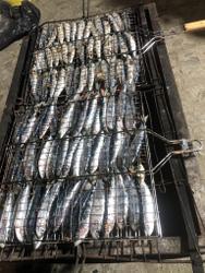 Sardines