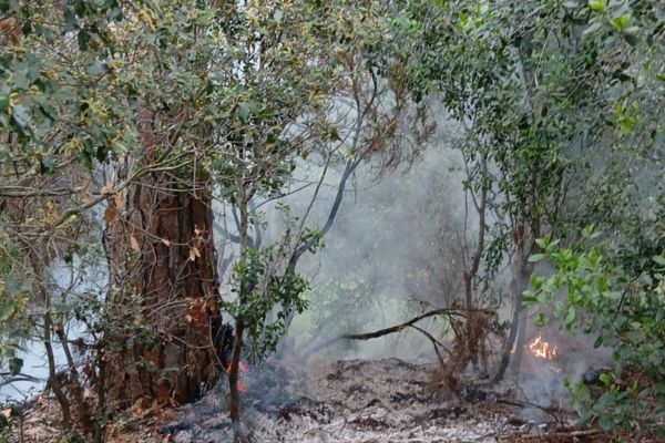 incendi turo oriols argentona