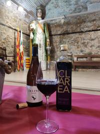 foto argentona tast vi+