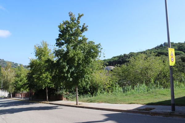 argentona serra de llado