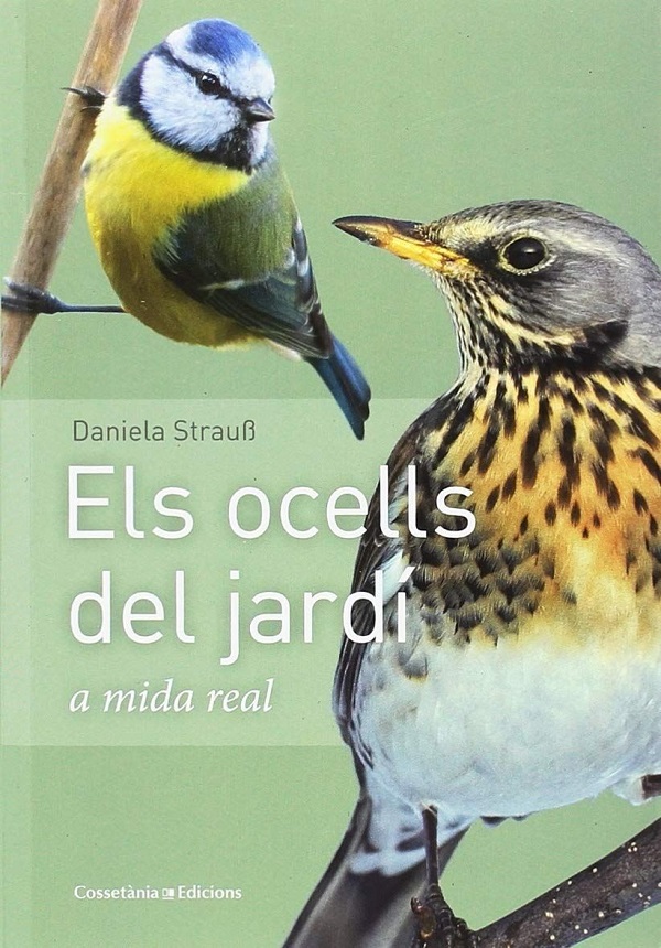 Ocells del jardí a mida real