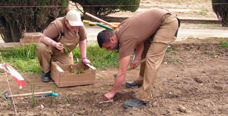 curs agroforestals