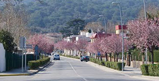 crta. Vilassar