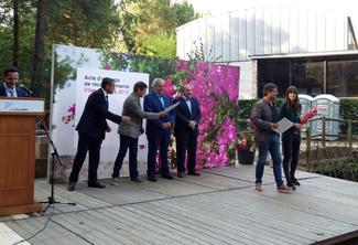 Viles Florides 2015