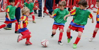 casals esportius