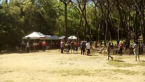 Caminada canina Creu Roja 2016