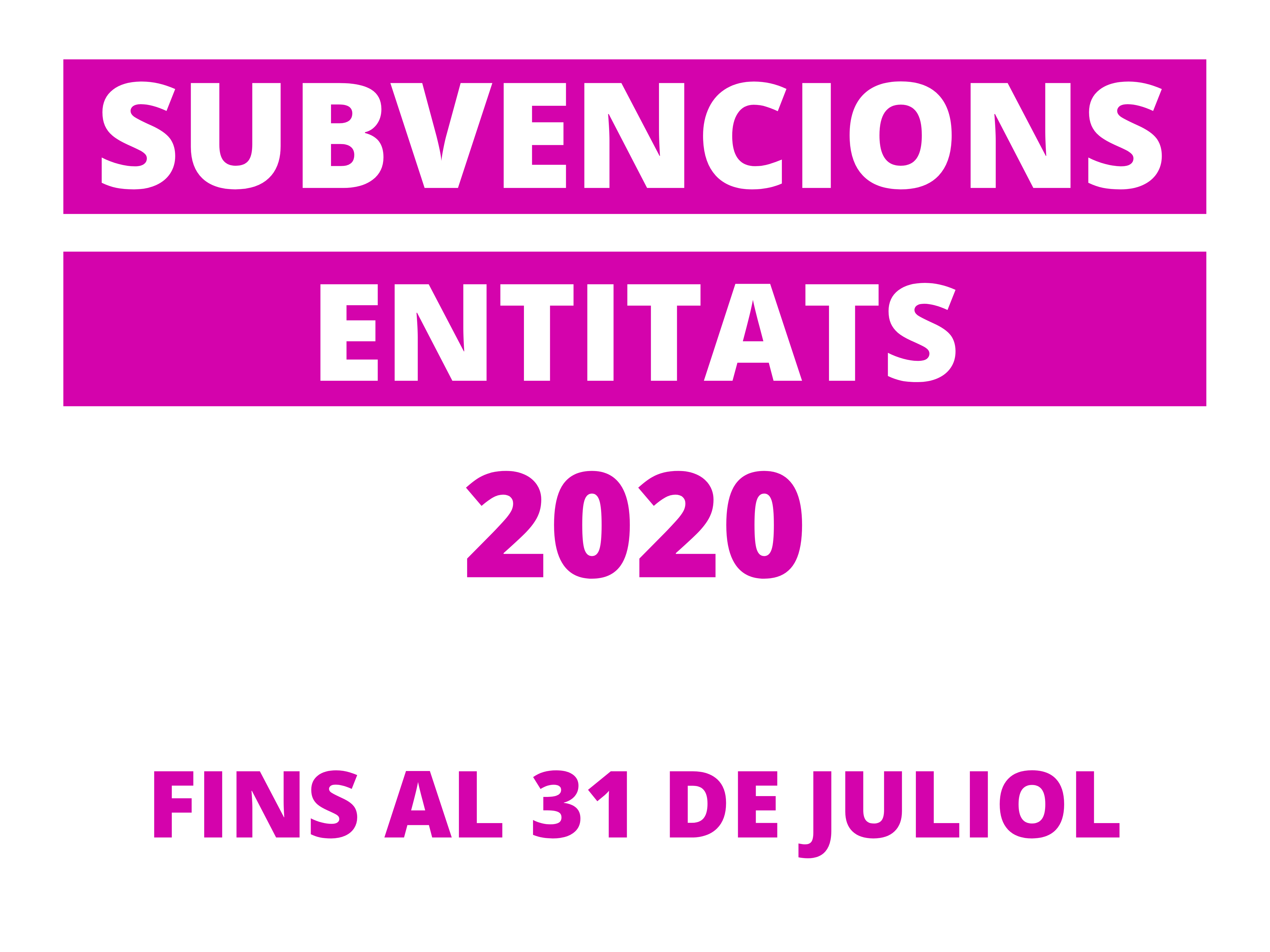 subvencions 2020