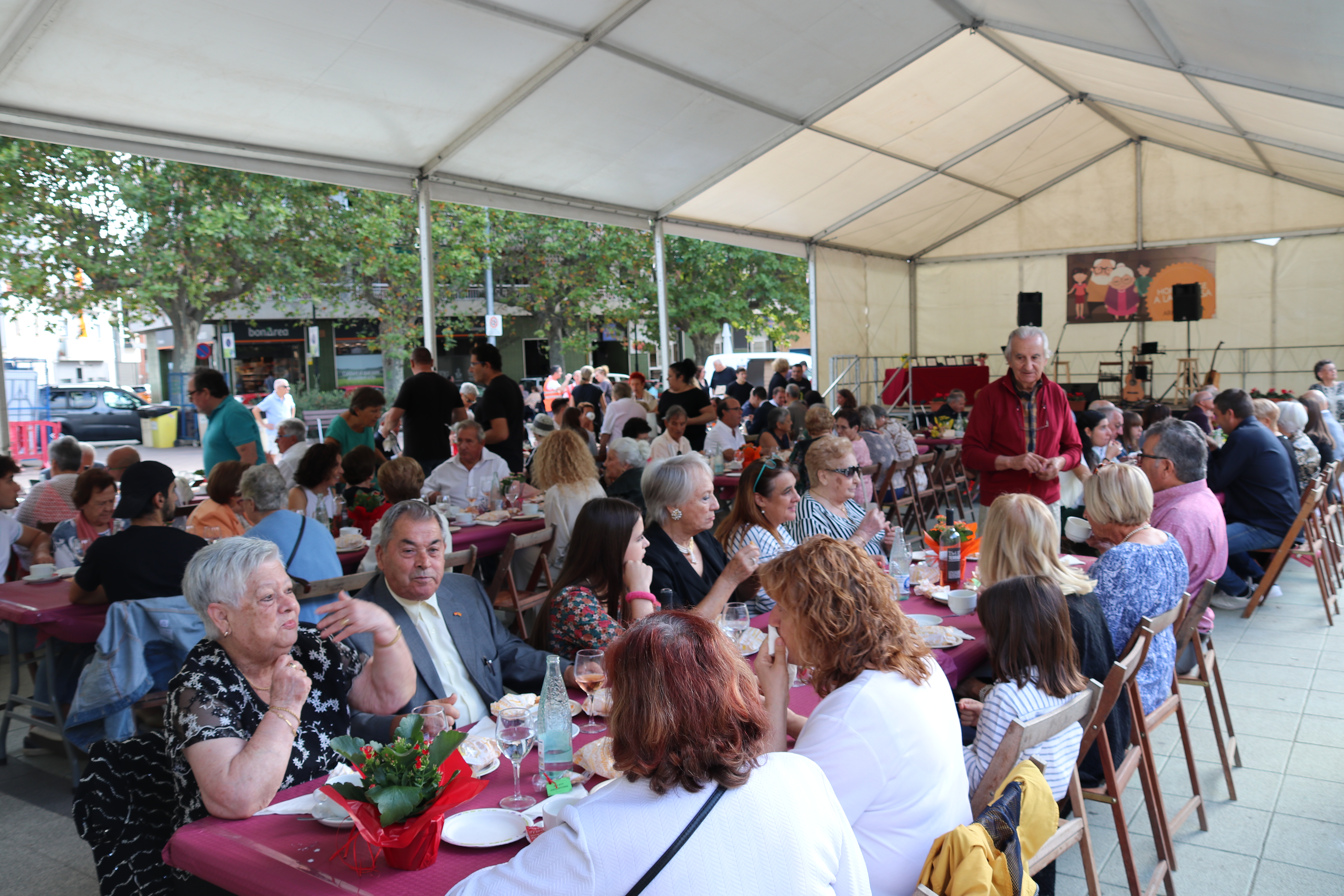 Festa de la Vellesa 2022