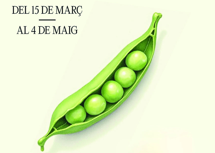 Temps de Psols 2025