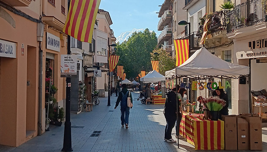 parades roses i llibres interior