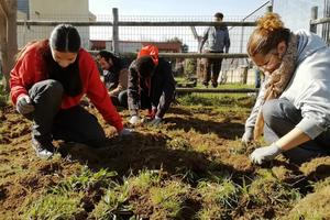 ARGENTONA PFI JARDINERIA
