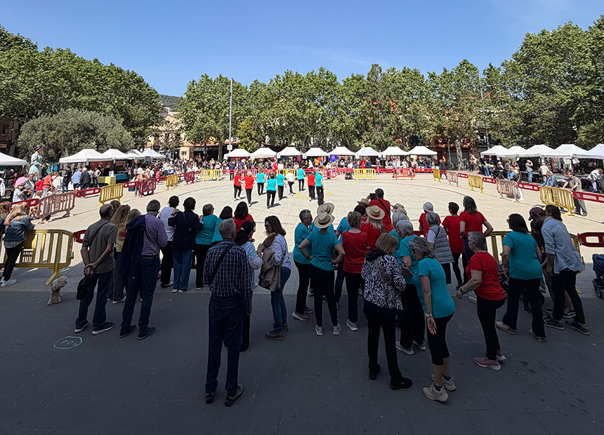 Mostra d'entitats 2026