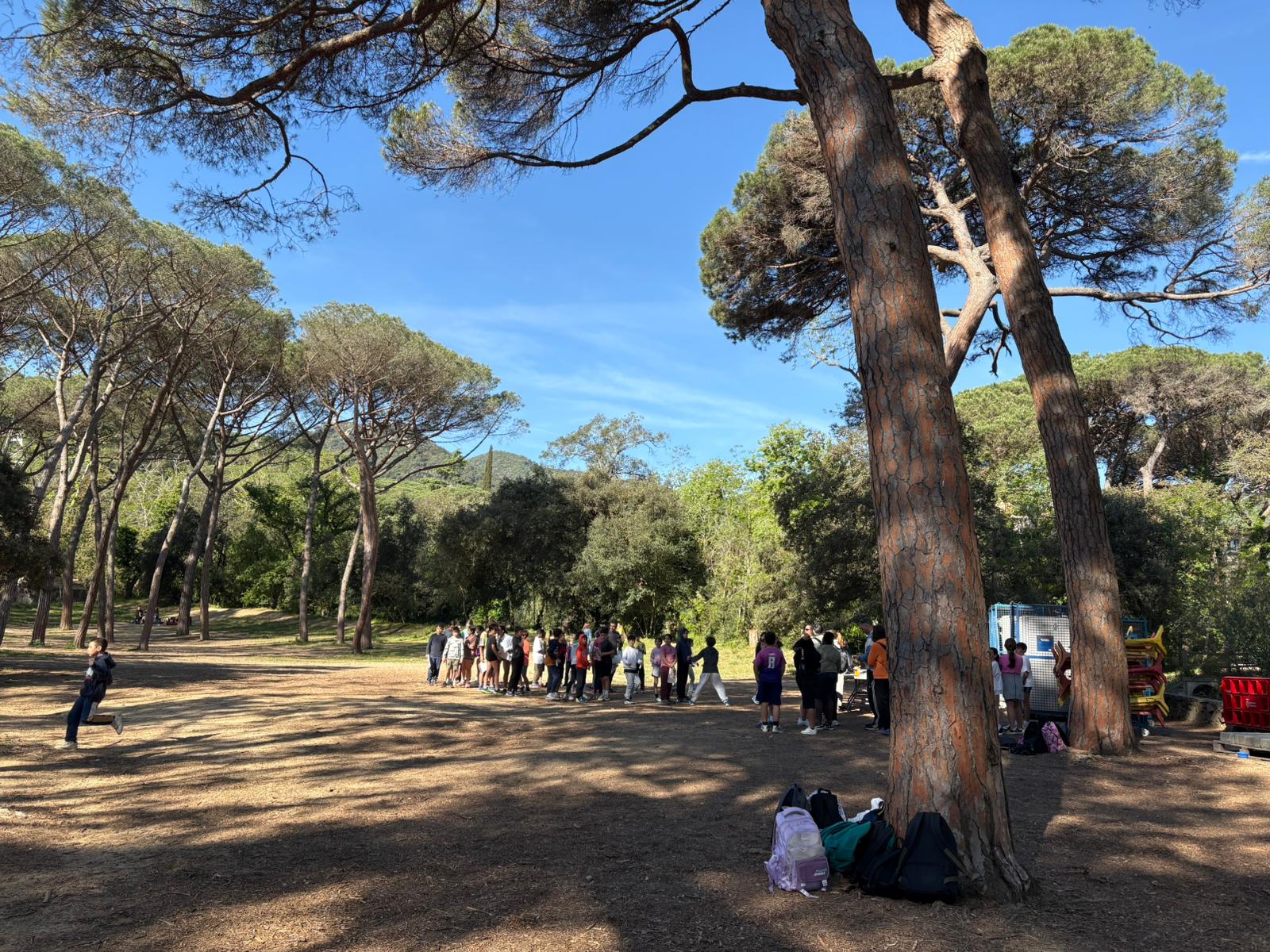 cursa orientaci� font picant