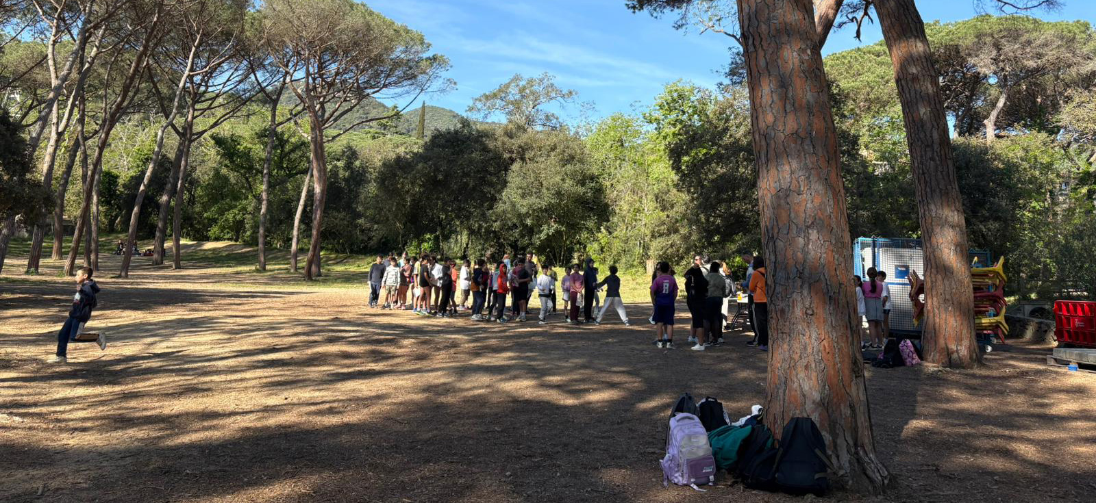 cursa orientaci� font picant