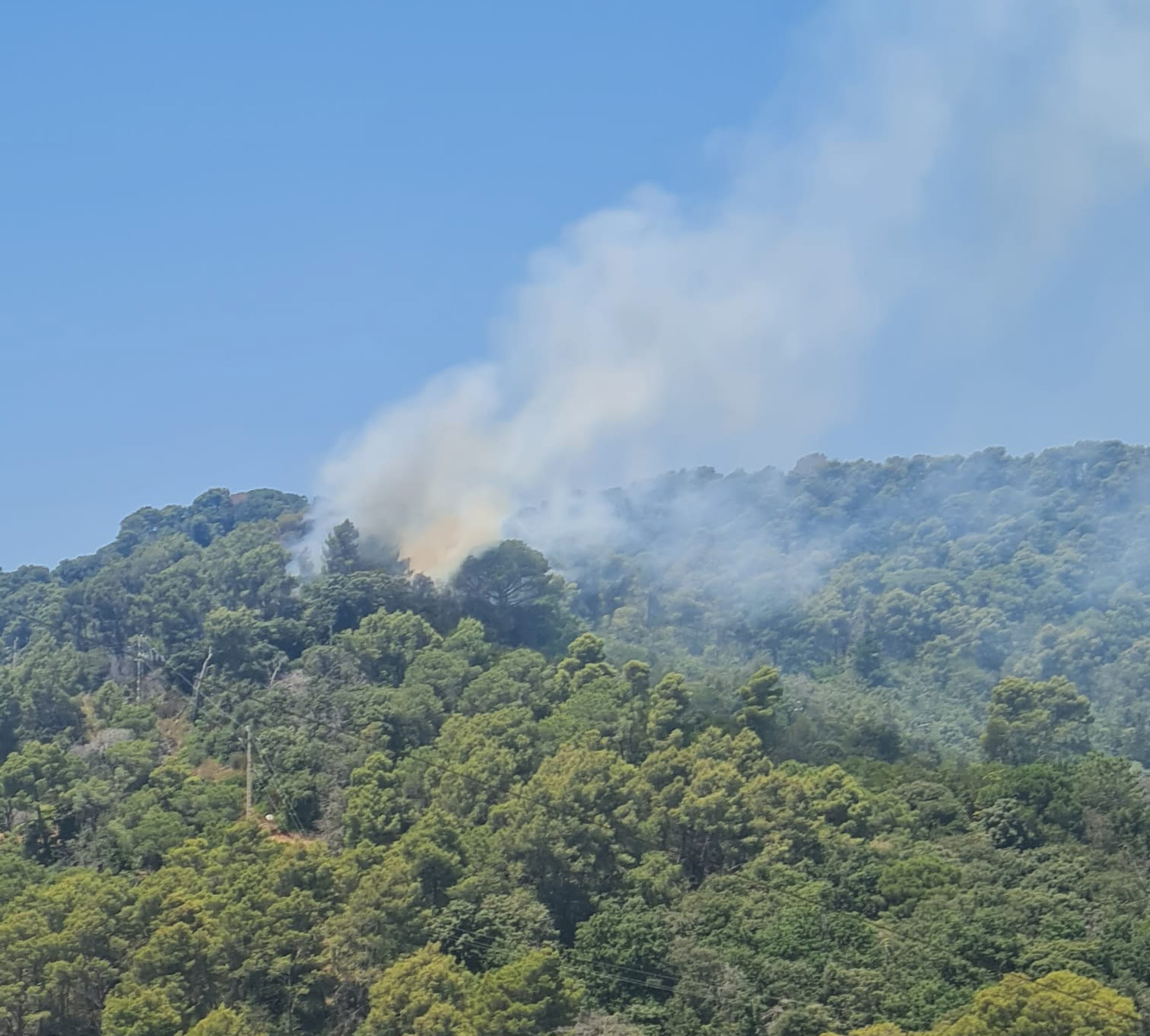 incendi Can Full�