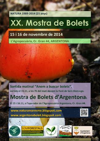 cartell_mostra_bolets