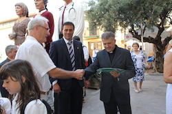 maso_votvila