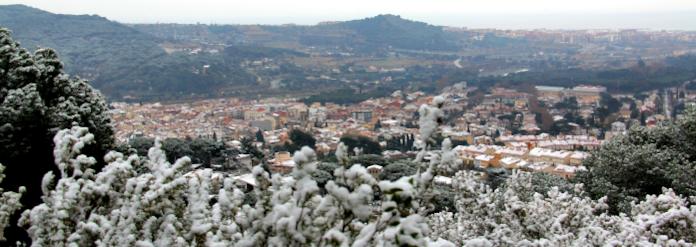 faldo gran neu