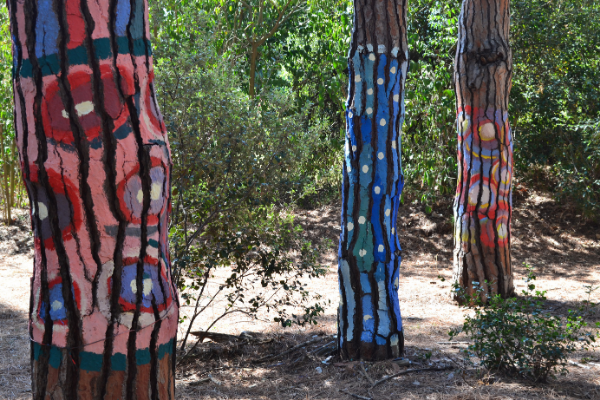 arbres-setba