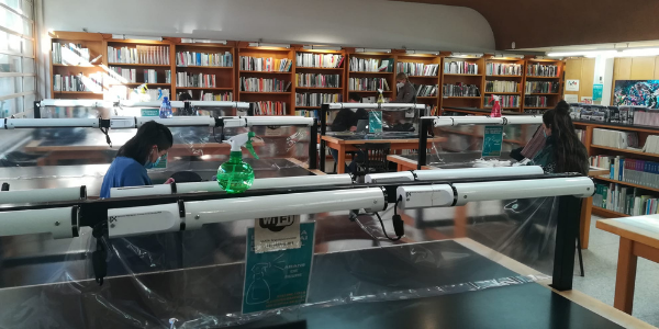 biblioteca argentona web