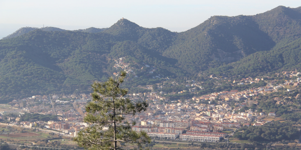 bosc_argentona_w