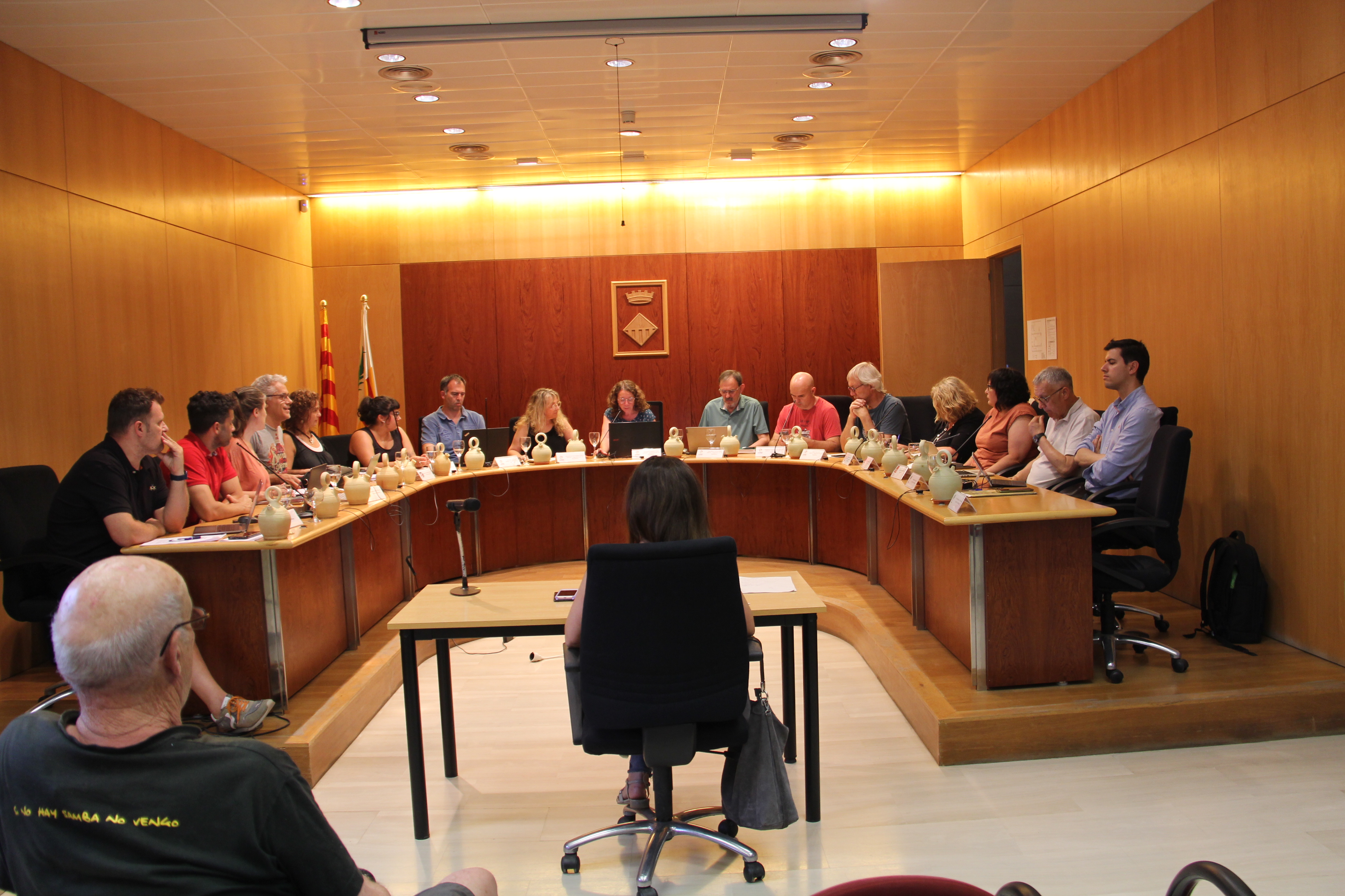 Ple extraordinari ordenances