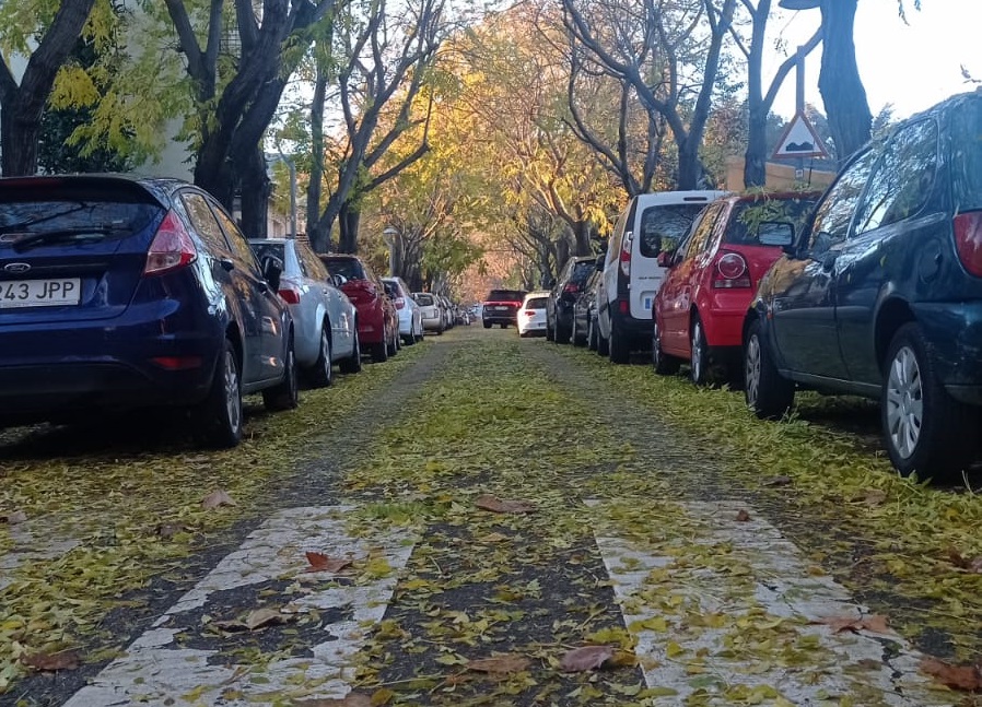 carrer fulles i pintura