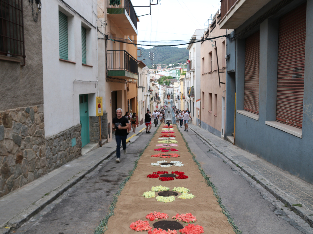 Diada de la Flor 2023