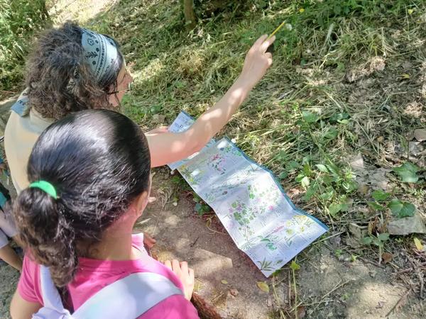 Argentona Bioblitz