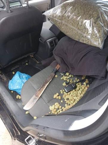 Interior del vehicle