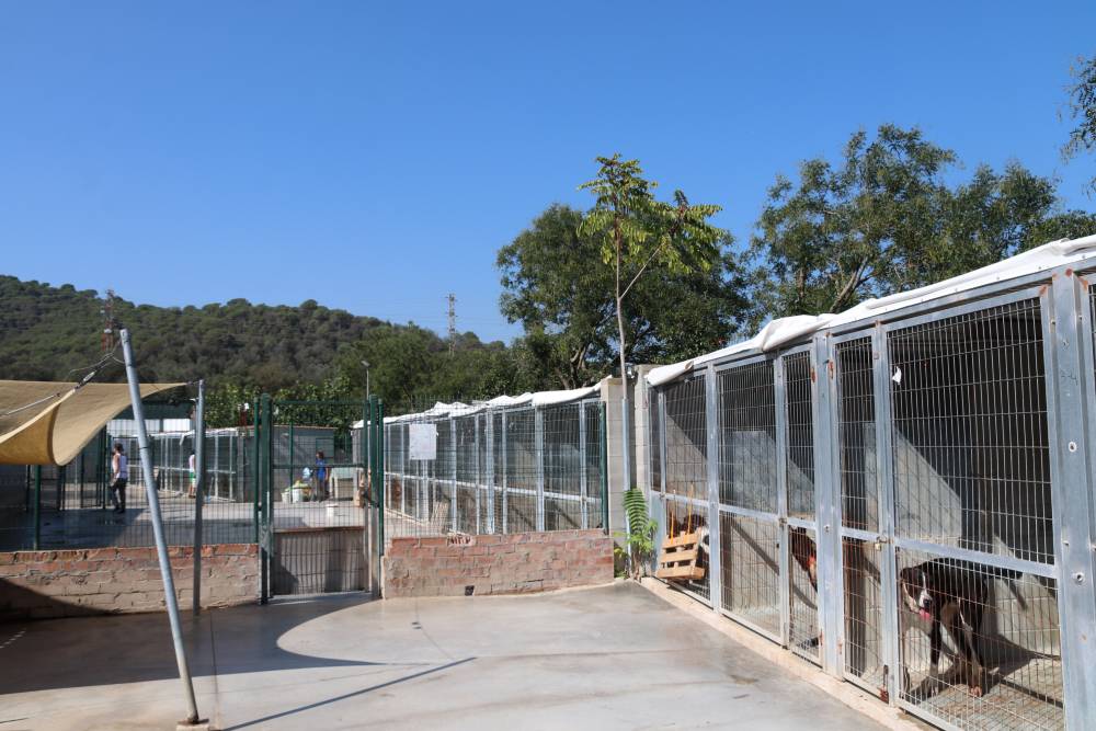 Argentona CAAD Maresme