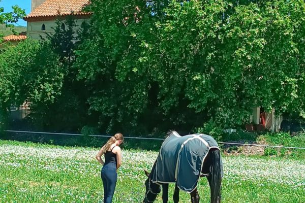 Argentona pla cavalls
