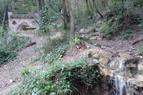 Argentona Font Picant