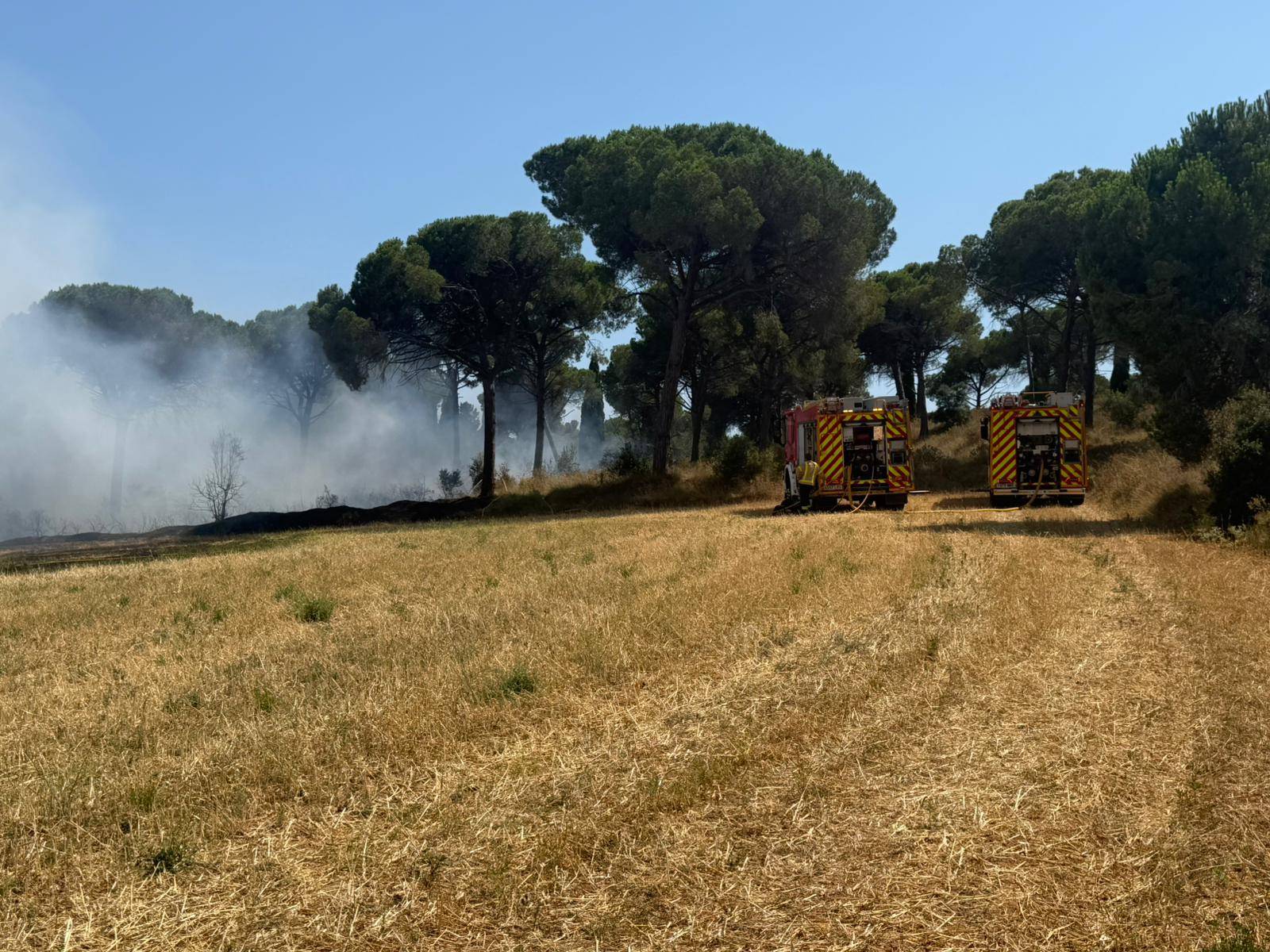 Incendi Forestal