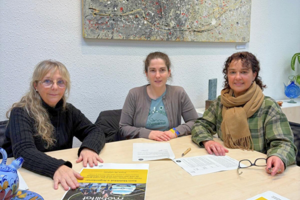 cervantes_capdevila_sommobilitat