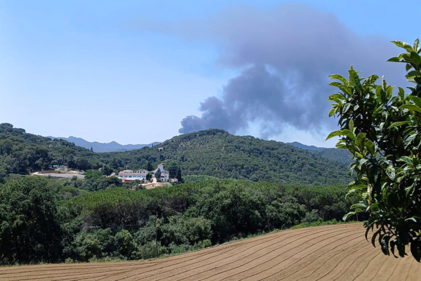 incendi orrius des d'argentona