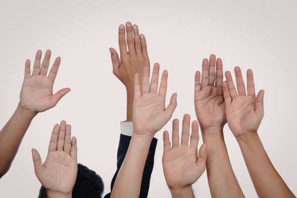 particpaci� argentona