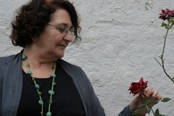 Rosa_vila_1