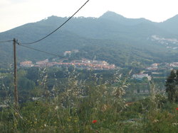 Dscf2152