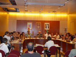 Ple_-_votaci__estatut