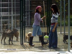 Visita_ies_argentona_008