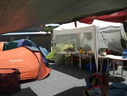 Acampada
