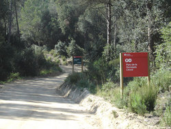 Parc_serralada_litog