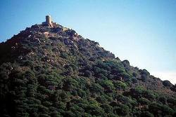 Castell_de_burriac