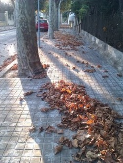 Adfargentona