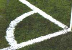 Campo2