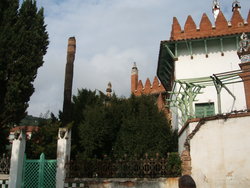 Palmera_morta_puig_i_cadalfach