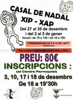 Casal_de_nadal_-_2011